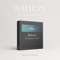Bahuzi Production Suite