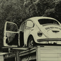 Left Where It Landed — Fine Art Print