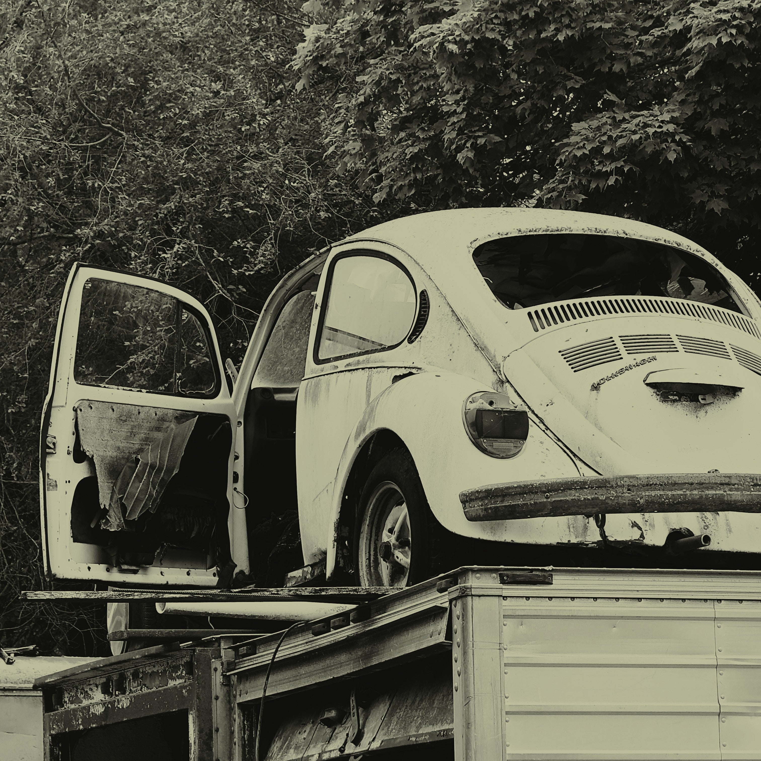 Left Where It Landed — Fine Art Print